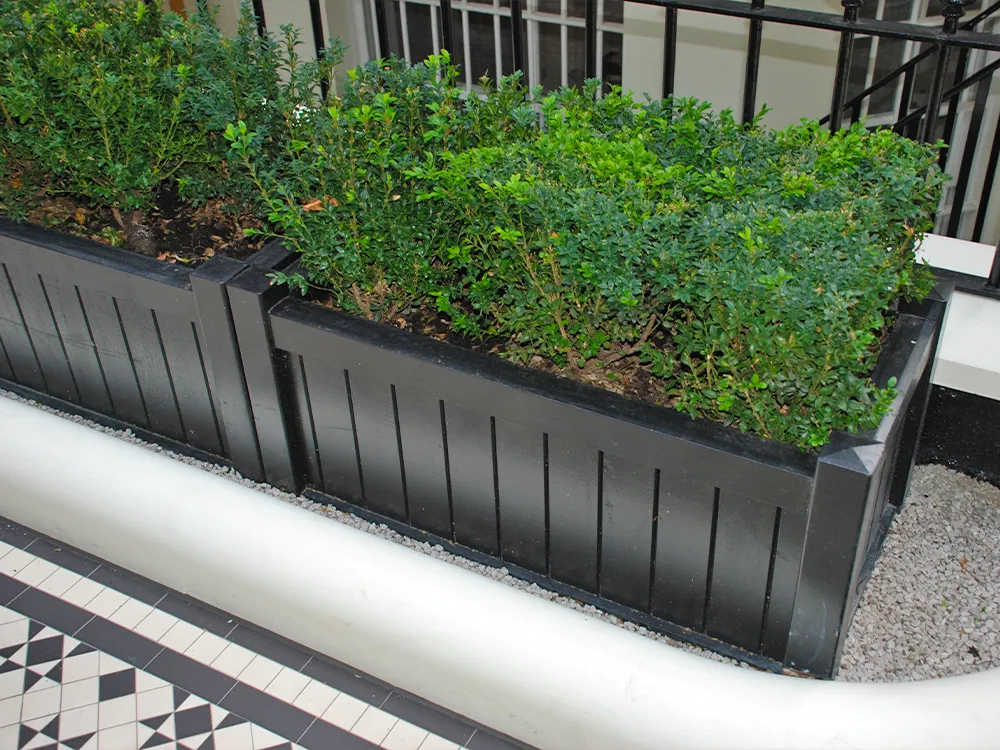 planters-gallery2