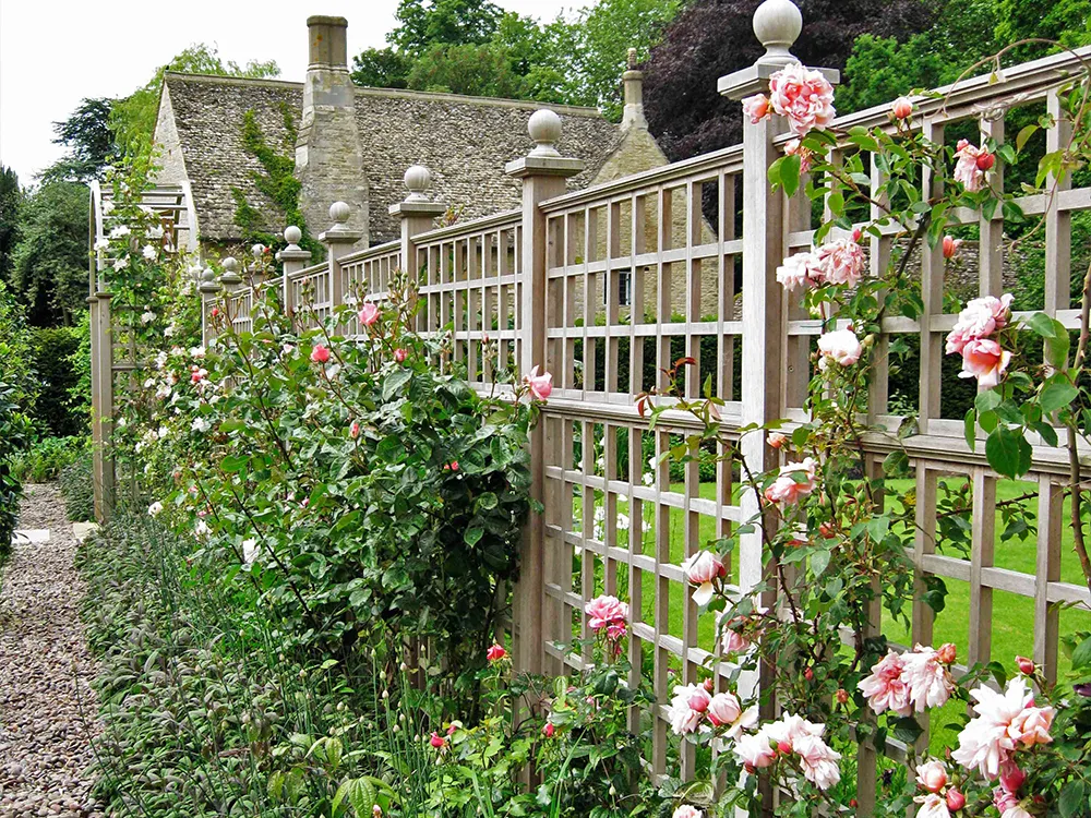 trellis-gallery14