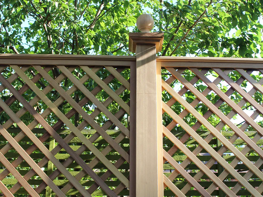 trellis-gallery20