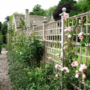 Square 6” (c/c) Jointed Trellis - Natural